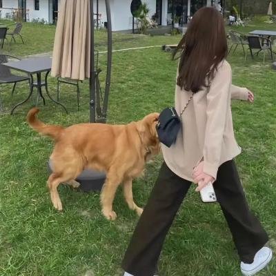 安内蒙尼